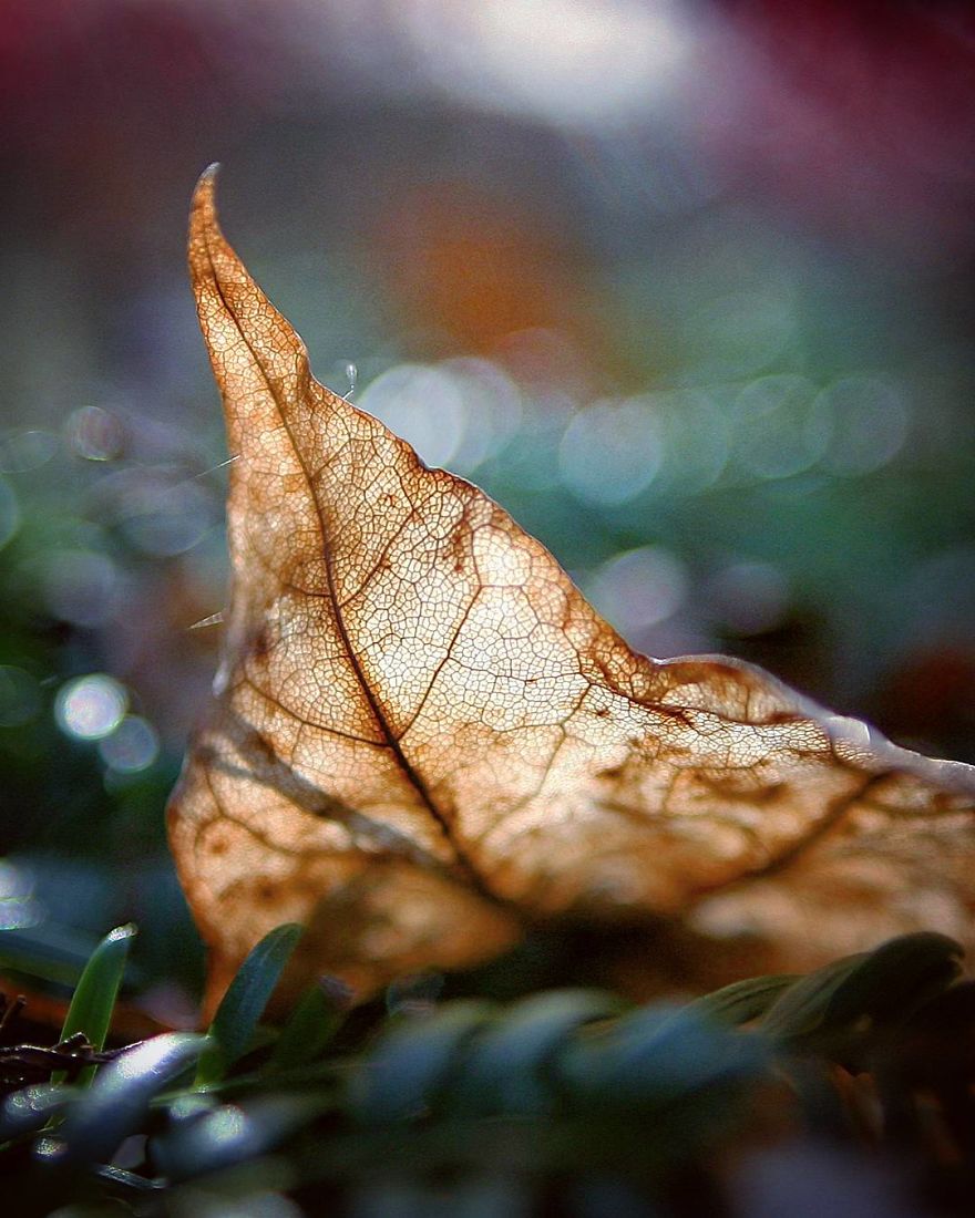 The Magic Of Nature By A Girl Feeling Lost The Magic Of Nature By A Girl Feeling Lost