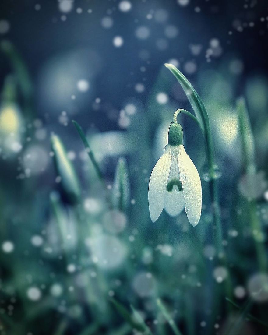 The Magic Of Nature By A Girl Feeling Lost The Magic Of Nature By A Girl Feeling Lost