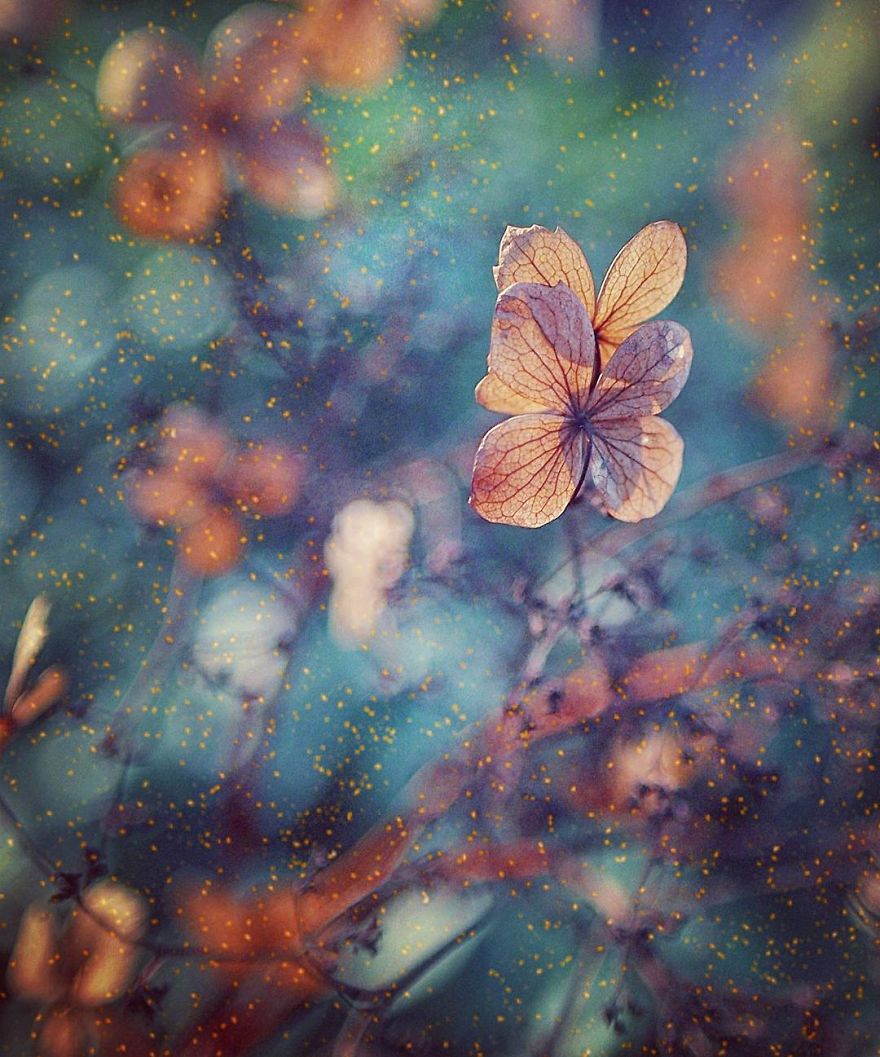 The Magic Of Nature By A Girl Feeling Lost The Magic Of Nature By A Girl Feeling Lost