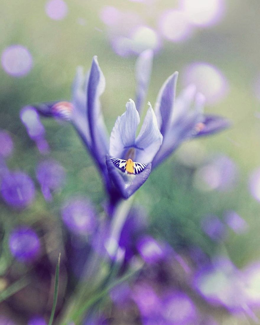 The Magic Of Nature By A Girl Feeling Lost The Magic Of Nature By A Girl Feeling Lost