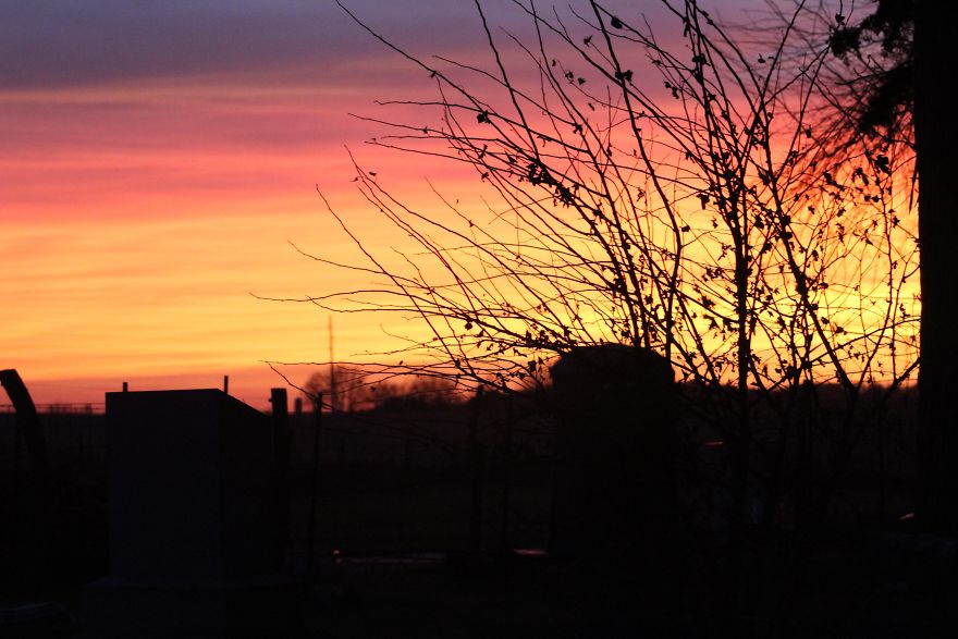 Just Some Sunsets :)