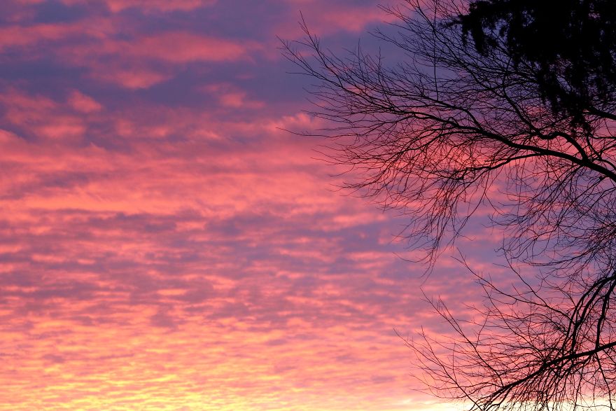 Just Some Sunsets :)