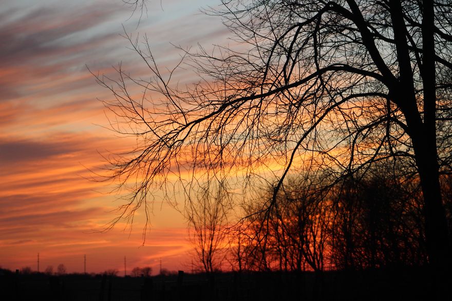 Just Some Sunsets :)