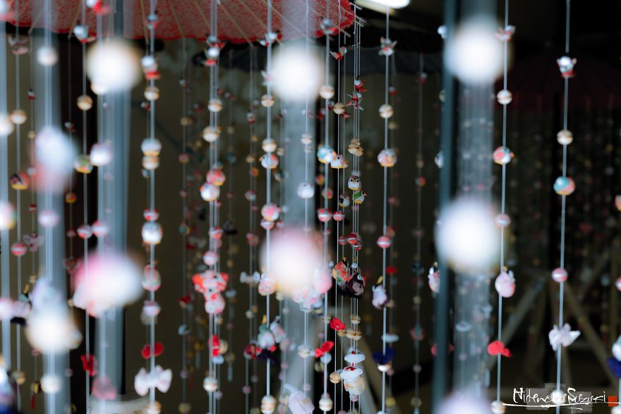 Do You Know Hina-Matsuri? Do You Know Hina-Matsuri?