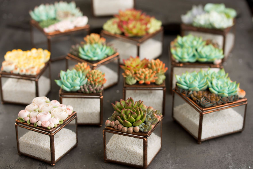Polymer Clay And My Succulent Mania