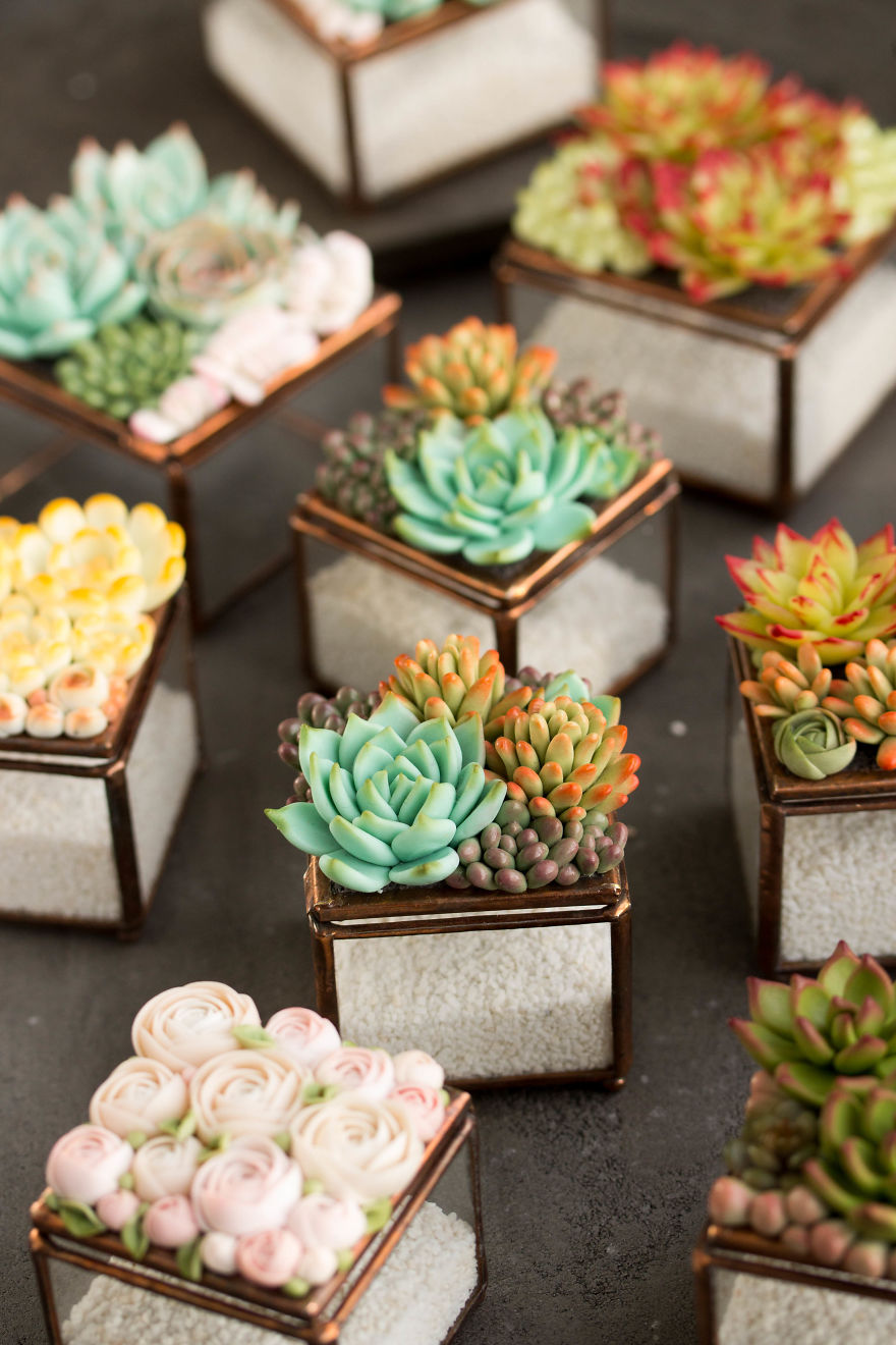 Polymer Clay And My Succulent Mania