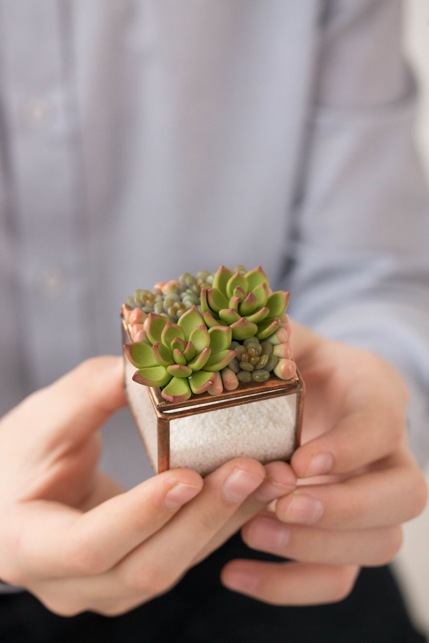 Polymer Clay And My Succulent Mania