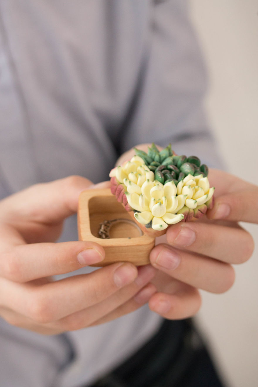 Polymer Clay And My Succulent Mania