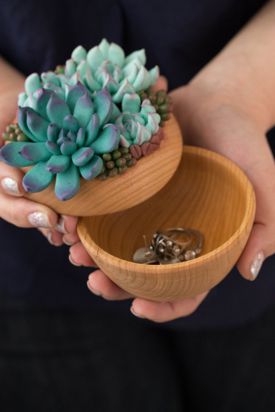Polymer Clay And My Succulent Mania