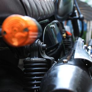 elquesomaniac avatar