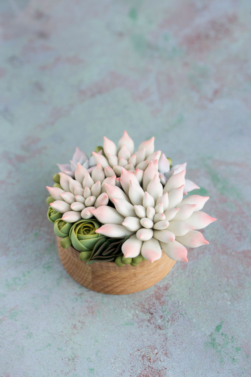 Polymer Clay And My Succulent Mania