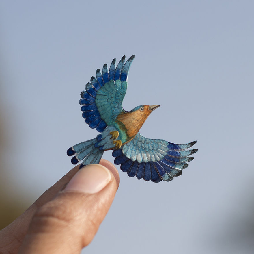 Indian Roller