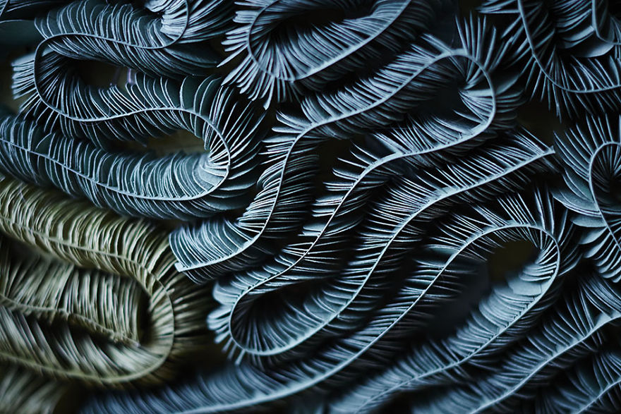 I've Spent 4 Months To Create This Coral Piece With Paper