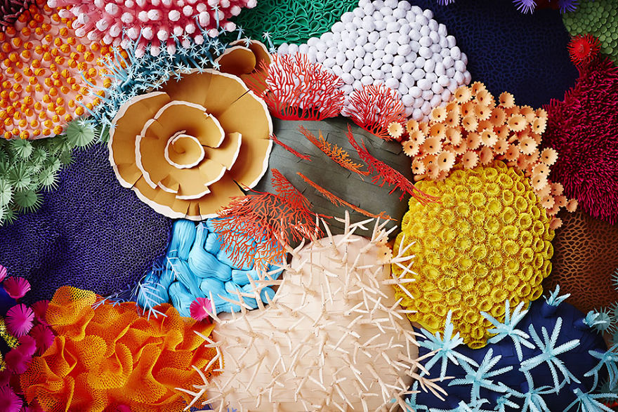 I've Spent 4 Months To Create This Coral Piece With Paper