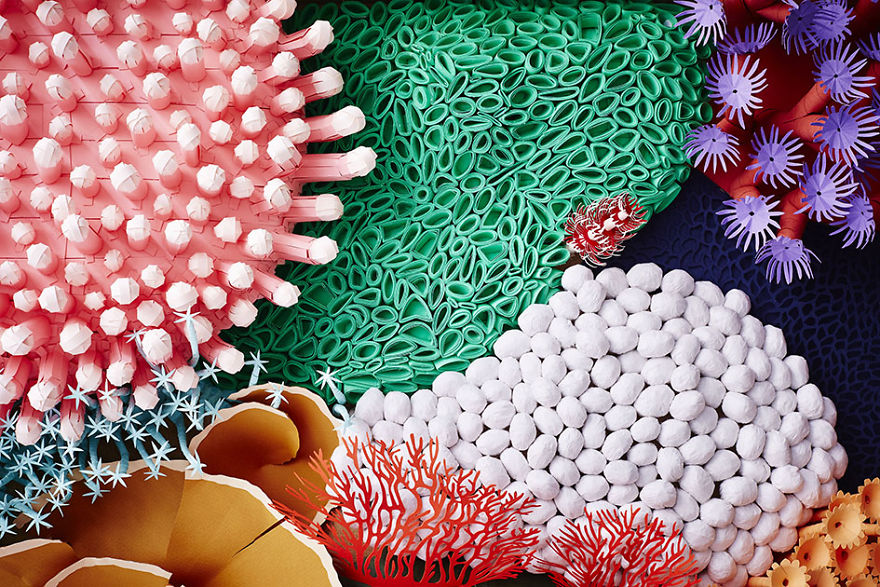 I've Spent 4 Months To Create This Coral Piece With Paper