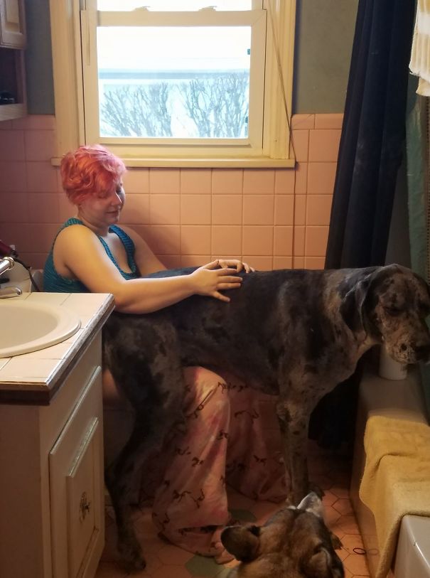 Jessi Cannot Even Go To The Potty Without Tiny! Lol