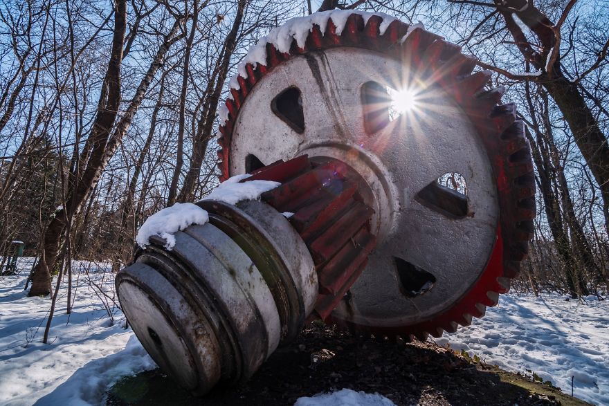 I Met Giant Machine Monsters In The Woods