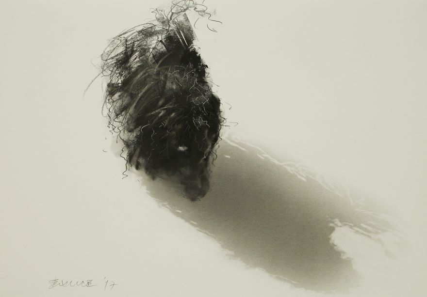 Gloomy Portraits Of Dogs That Seem To Fade Into The Paper Gloomy Portraits Of Dogs That Seem To Fade Into The Paper