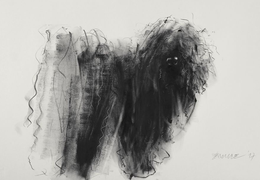 Gloomy Portraits Of Dogs That Seem To Fade Into The Paper Gloomy Portraits Of Dogs That Seem To Fade Into The Paper