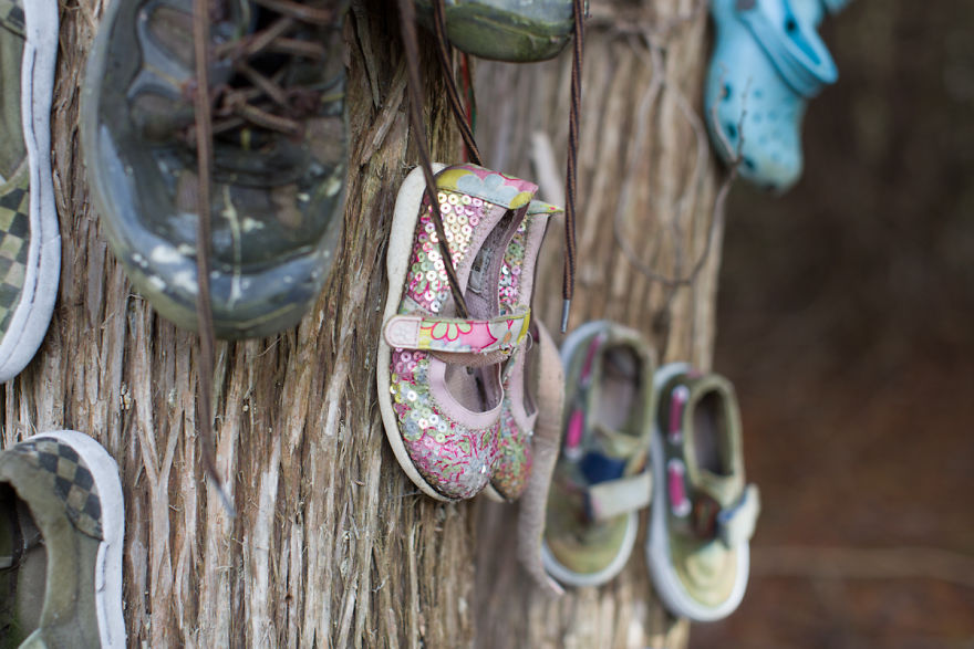 I Accidentally Found A Mysterious Forest Full Of Shoes