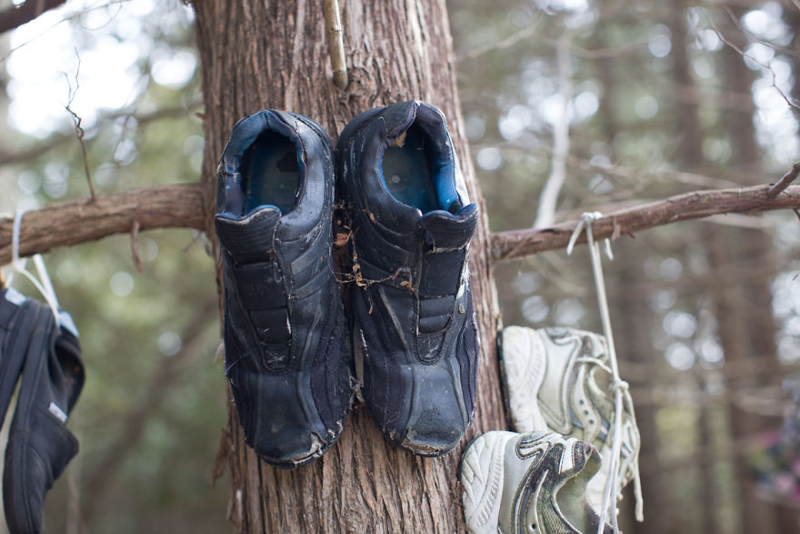 I Accidentally Found A Mysterious Forest Full Of Shoes