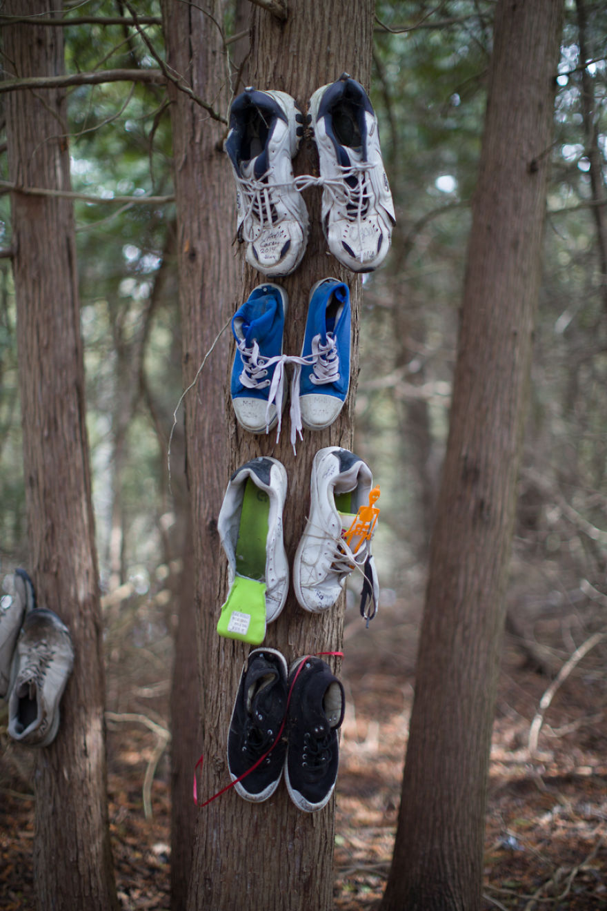 I Accidentally Found A Mysterious Forest Full Of Shoes