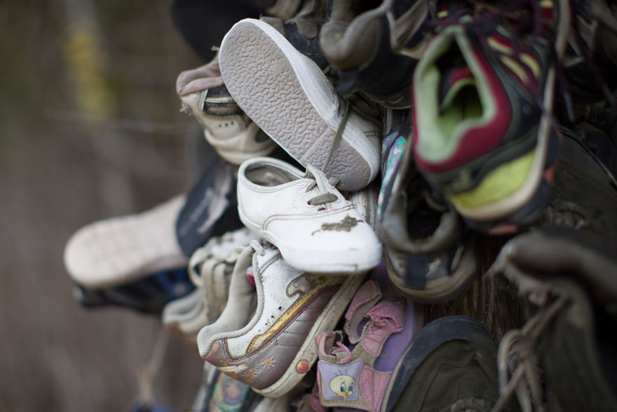 I Accidentally Found A Mysterious Forest Full Of Shoes