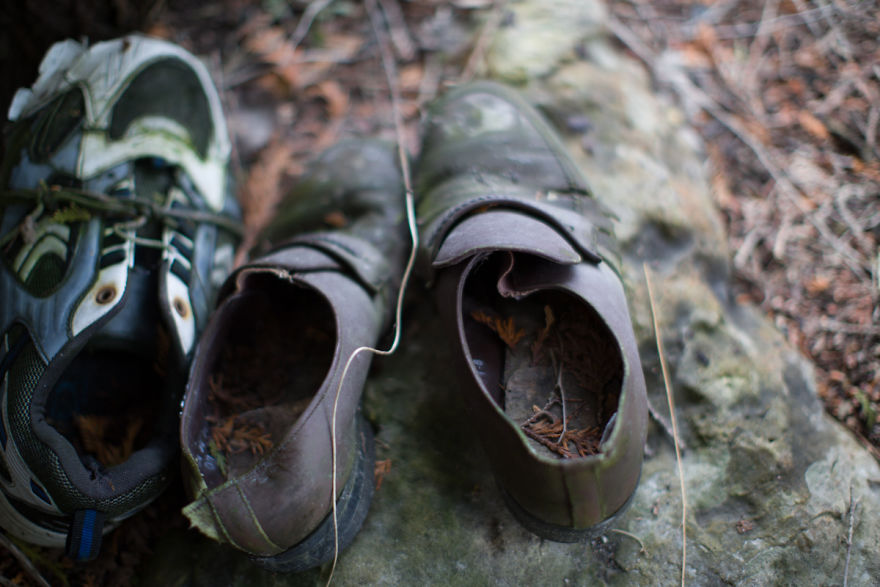 I Accidentally Found A Mysterious Forest Full Of Shoes