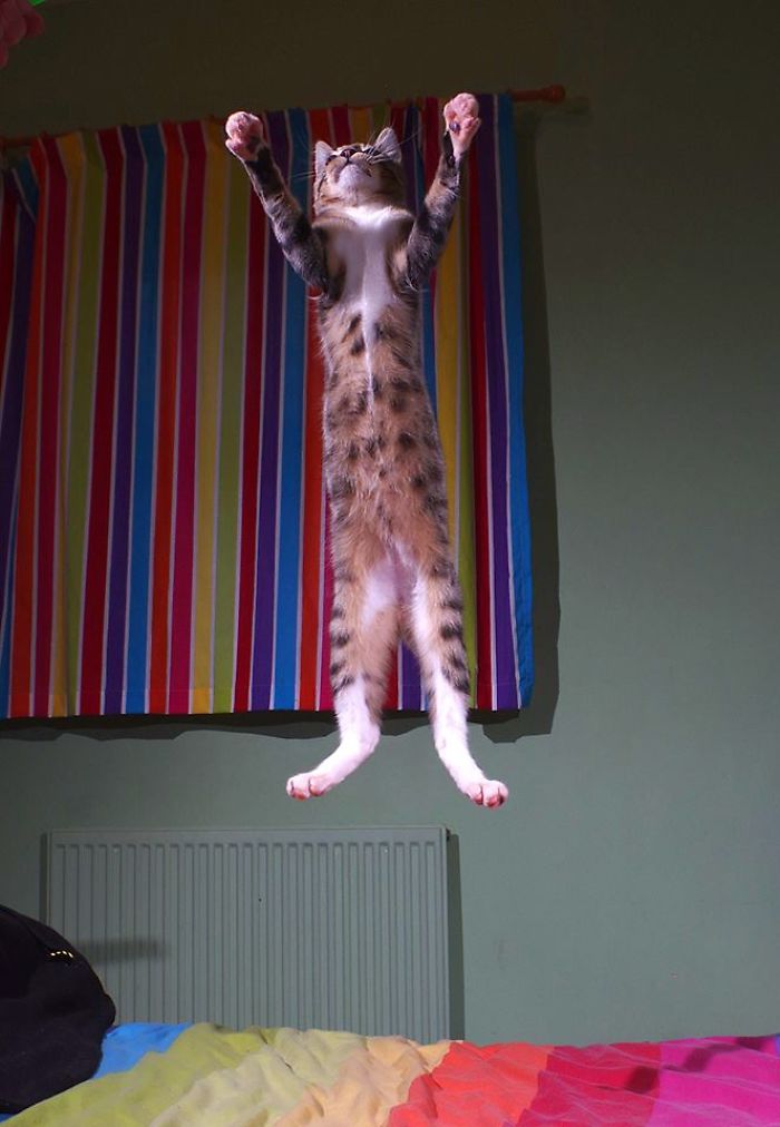 I Must Go, My People Need Me