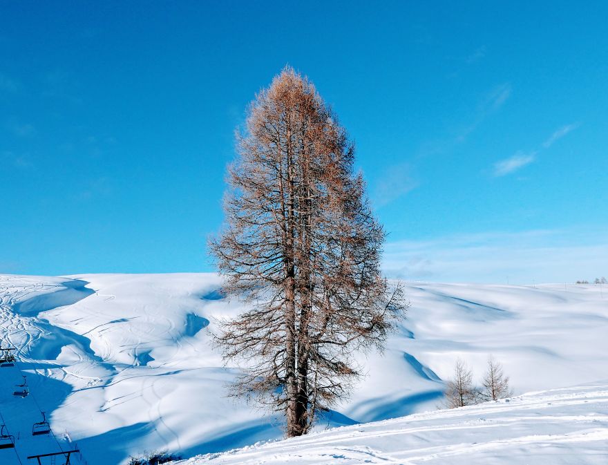 10 Photos Of Alpe Di Siusi That Will Make You Want To Visit South Tyrol, Italy 10 Photos Of Alpe Di Siusi That Will Make You Want To Visit South Tyrol, Italy