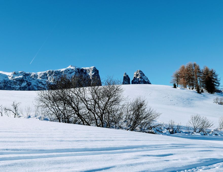 10 Photos Of Alpe Di Siusi That Will Make You Want To Visit South Tyrol, Italy