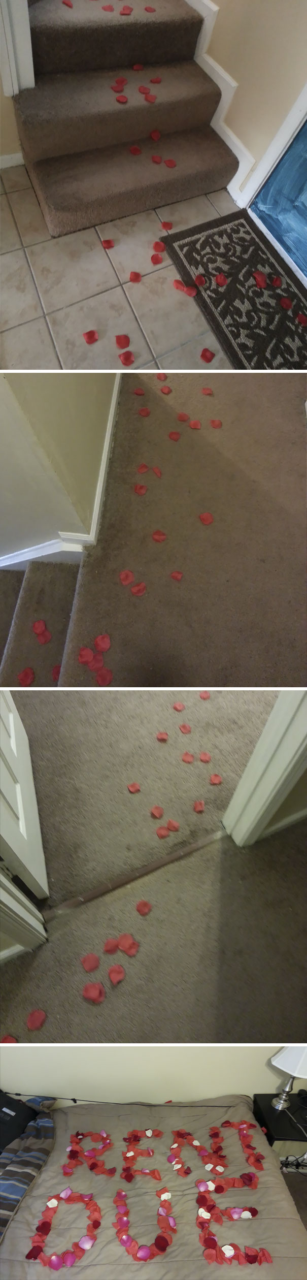 Left A Romantic Surprise For My Roommate