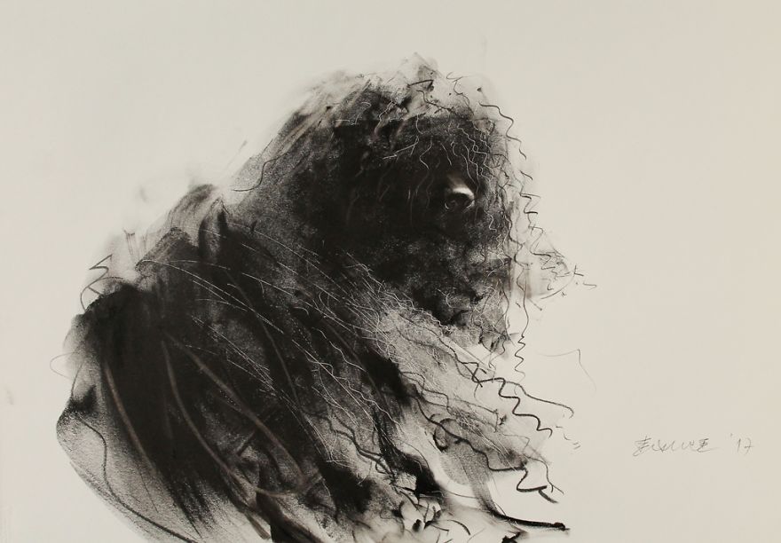 Gloomy Portraits Of Dogs That Seem To Fade Into The Paper Gloomy Portraits Of Dogs That Seem To Fade Into The Paper