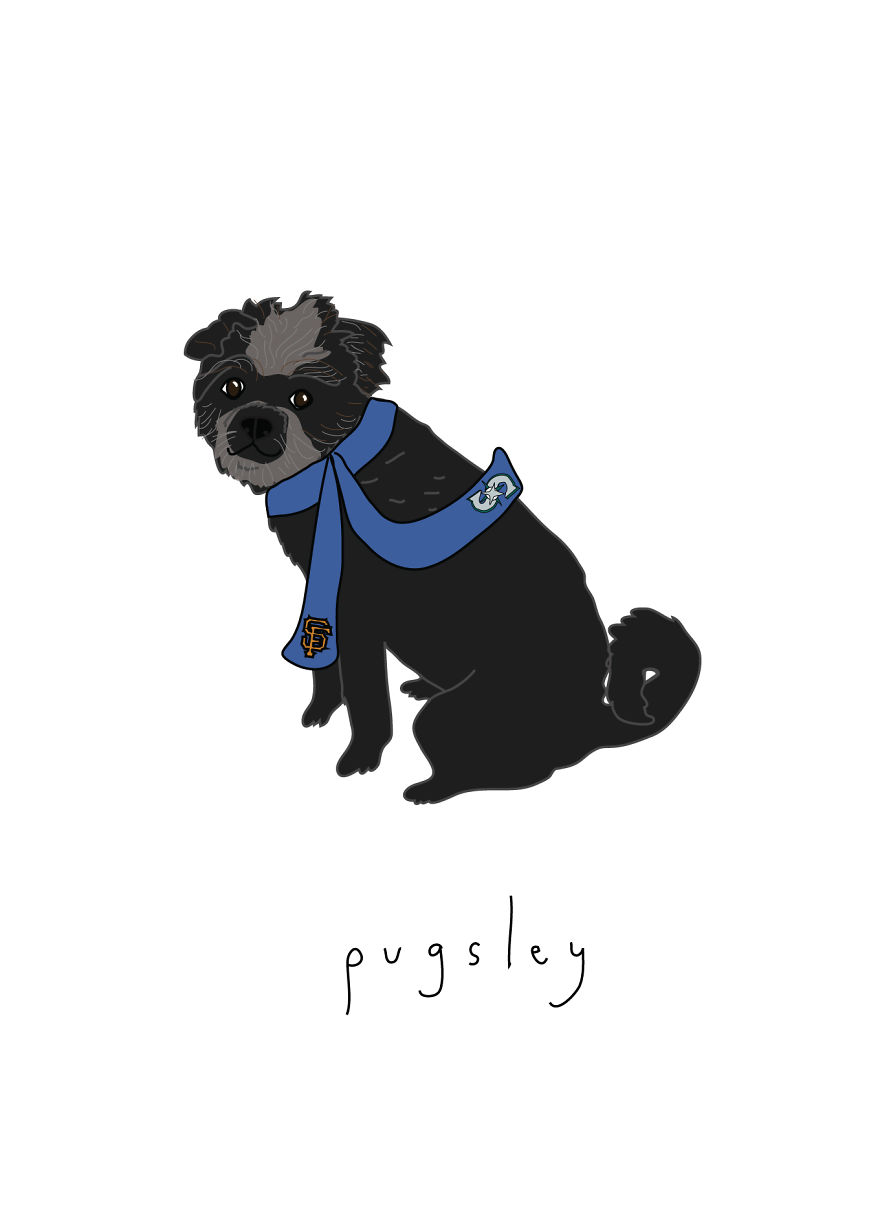 I Make Ridiculously Cute Pet Portraits