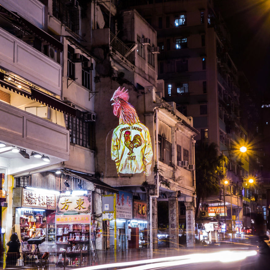 Safari Urbain - Hk Zoodiac Series Safari Urbain - Hk Zoodiac Series