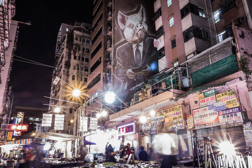 Safari Urbain - Hk Zoodiac Series