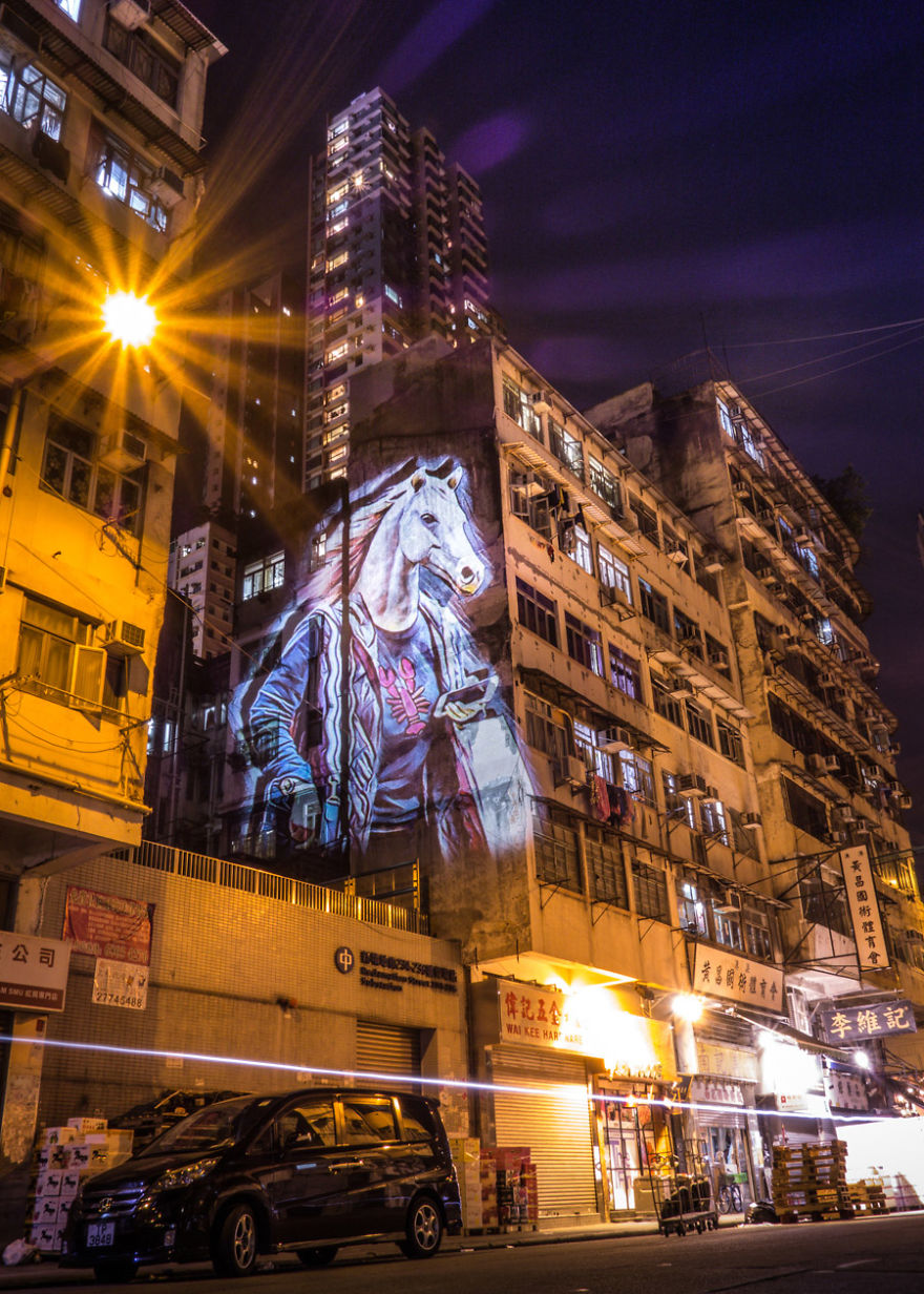 Safari Urbain - Hk Zoodiac Series