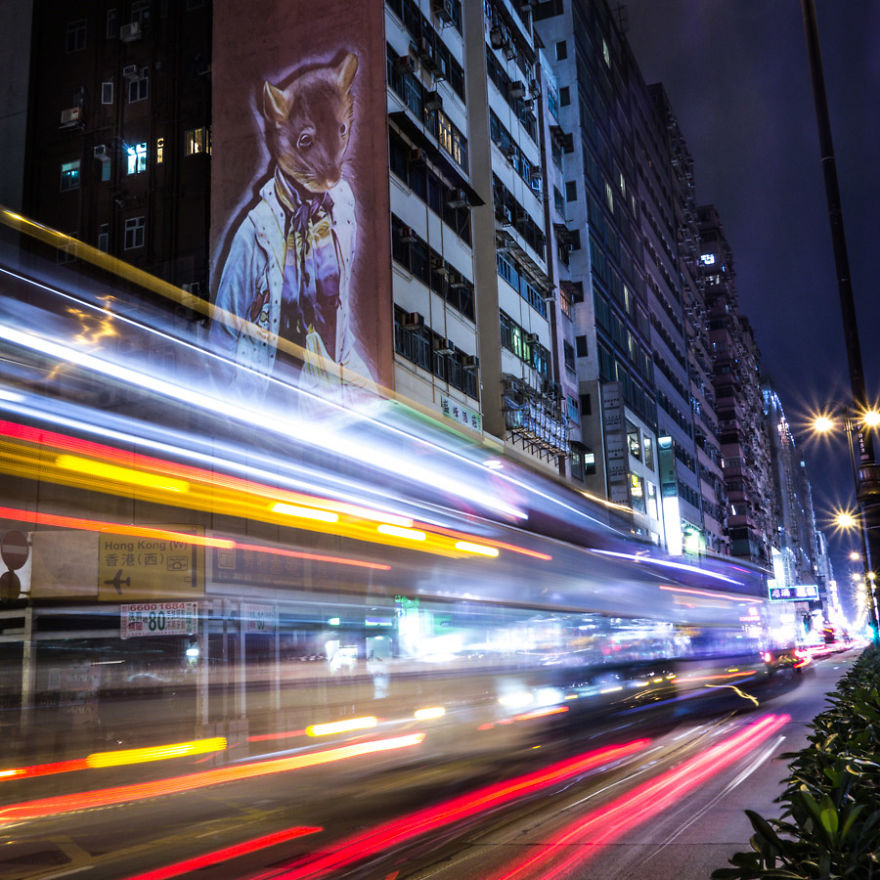 Safari Urbain - Hk Zoodiac Series Safari Urbain - Hk Zoodiac Series