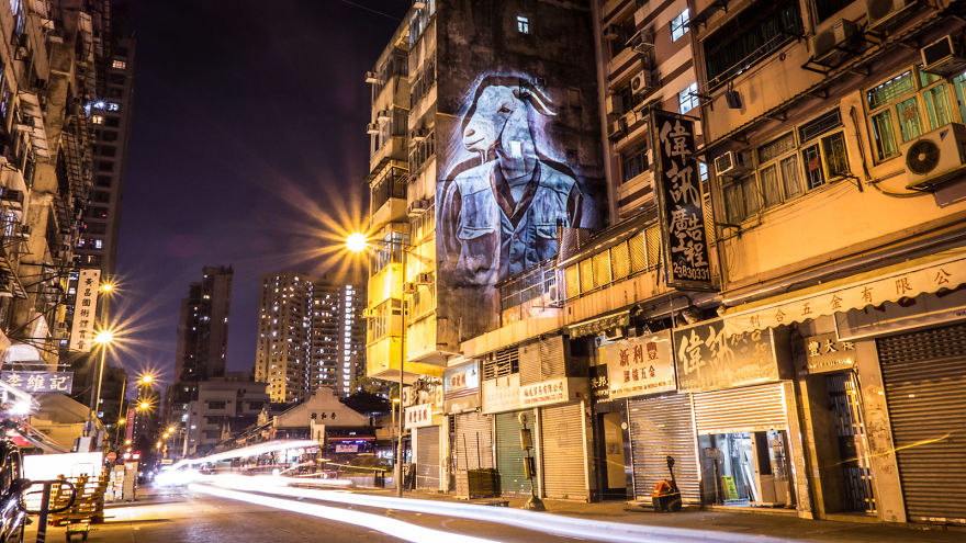 Safari Urbain - Hk Zoodiac Series Safari Urbain - Hk Zoodiac Series