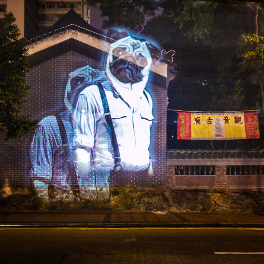 Safari Urbain - Hk Zoodiac Series Safari Urbain - Hk Zoodiac Series