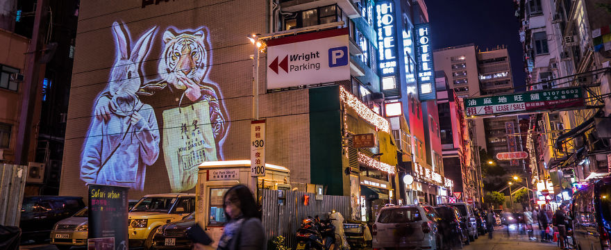 Safari Urbain - Hk Zoodiac Series Safari Urbain - Hk Zoodiac Series