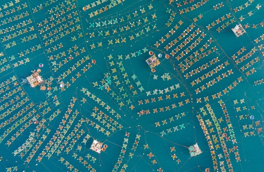 "Lobsters Farm" By Trung Pham, First Prize In Landscape Category, Enthusiast Group