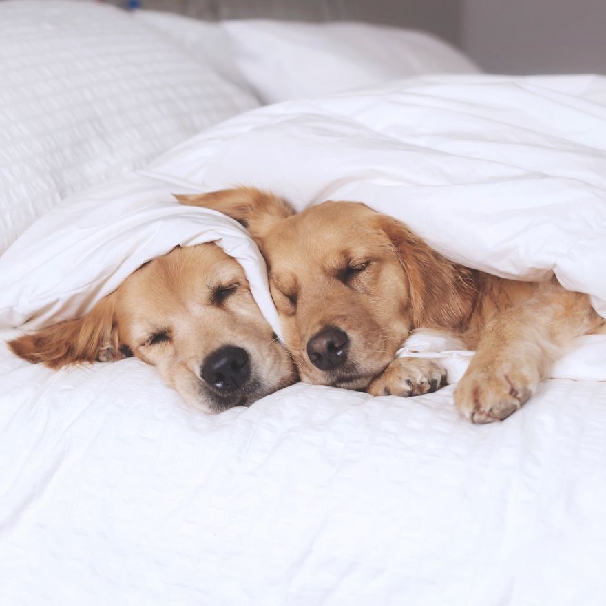 The Most Adorable Snuggling Sisters