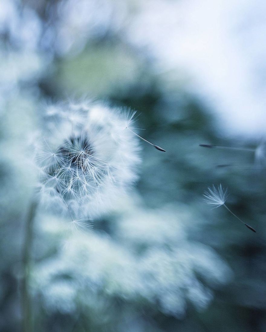 The Magic Of Nature By A Girl Feeling Lost The Magic Of Nature By A Girl Feeling Lost