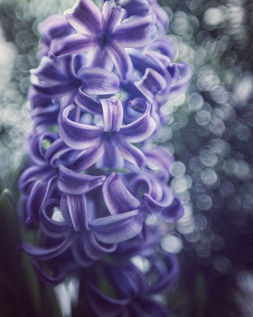 The Magic Of Nature By A Girl Feeling Lost The Magic Of Nature By A Girl Feeling Lost