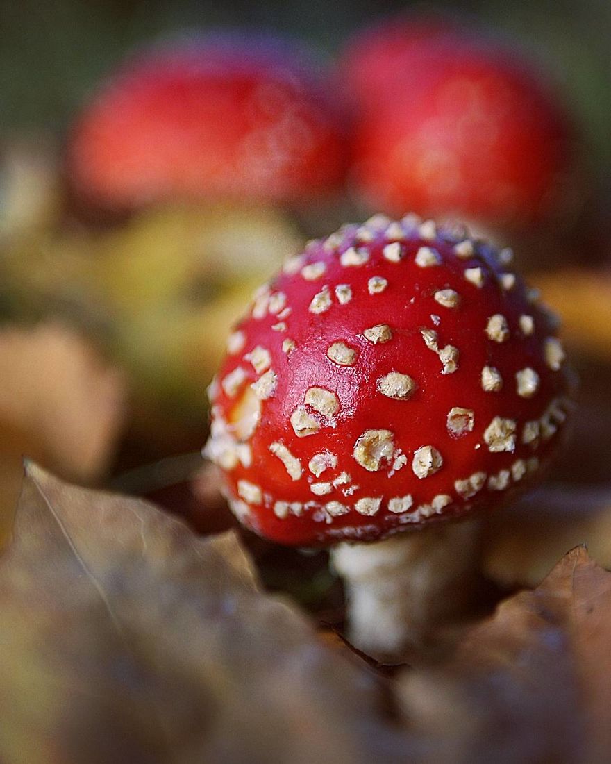 The Magic Of Nature By A Girl Feeling Lost The Magic Of Nature By A Girl Feeling Lost