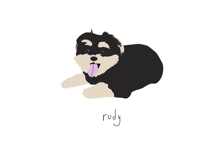 I Make Ridiculously Cute Pet Portraits