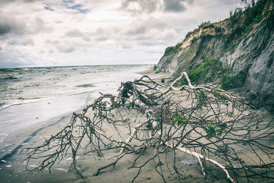 We Went 151,000 Steps In 3 Days By Lithuanian Coastline. From Latvian Border To Russian Border We Went 151,000 Steps In 3 Days By Lithuanian Coastline. From Latvian Border To Russian Border