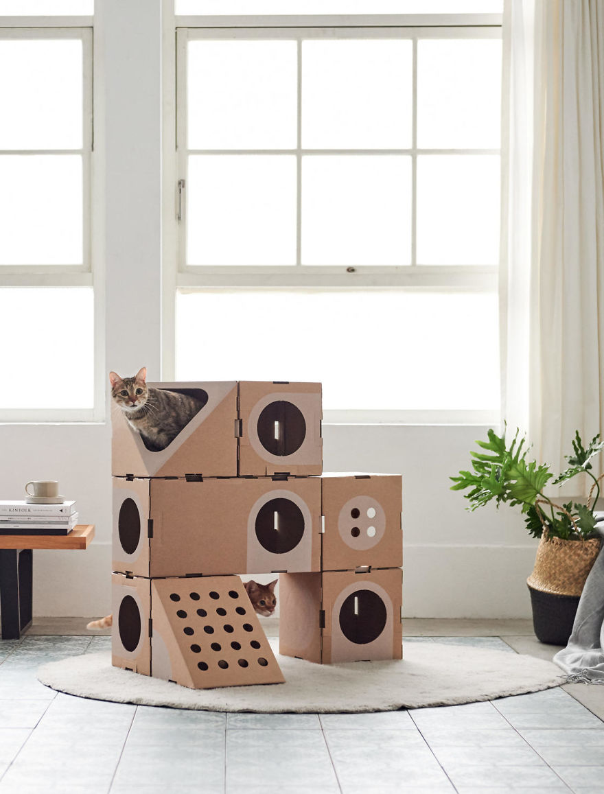 Architect Couple Turns Cardboard Boxes Into Stackable Cat Fort, And Here's How Cats React Architect Couple Turns Cardboard Boxes Into Stackable Cat Fort, And Here's How Cats React