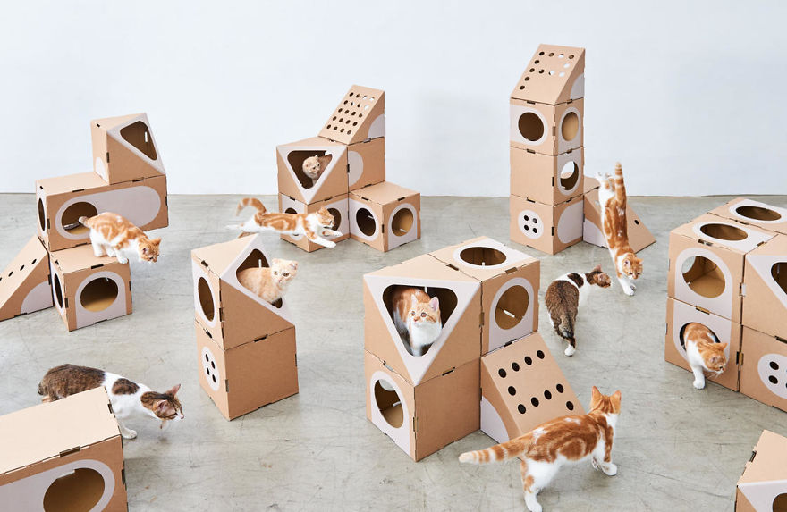 Architect Couple Turns Cardboard Boxes Into Stackable Cat Fort, And Here's How Cats React Architect Couple Turns Cardboard Boxes Into Stackable Cat Fort, And Here's How Cats React